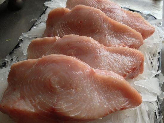 Shark (SRAAVU)Cut pcs Shark (SRAAVU)Cut pcs