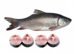 ROVU Fish (BIG) ROVU Fish (BIG)