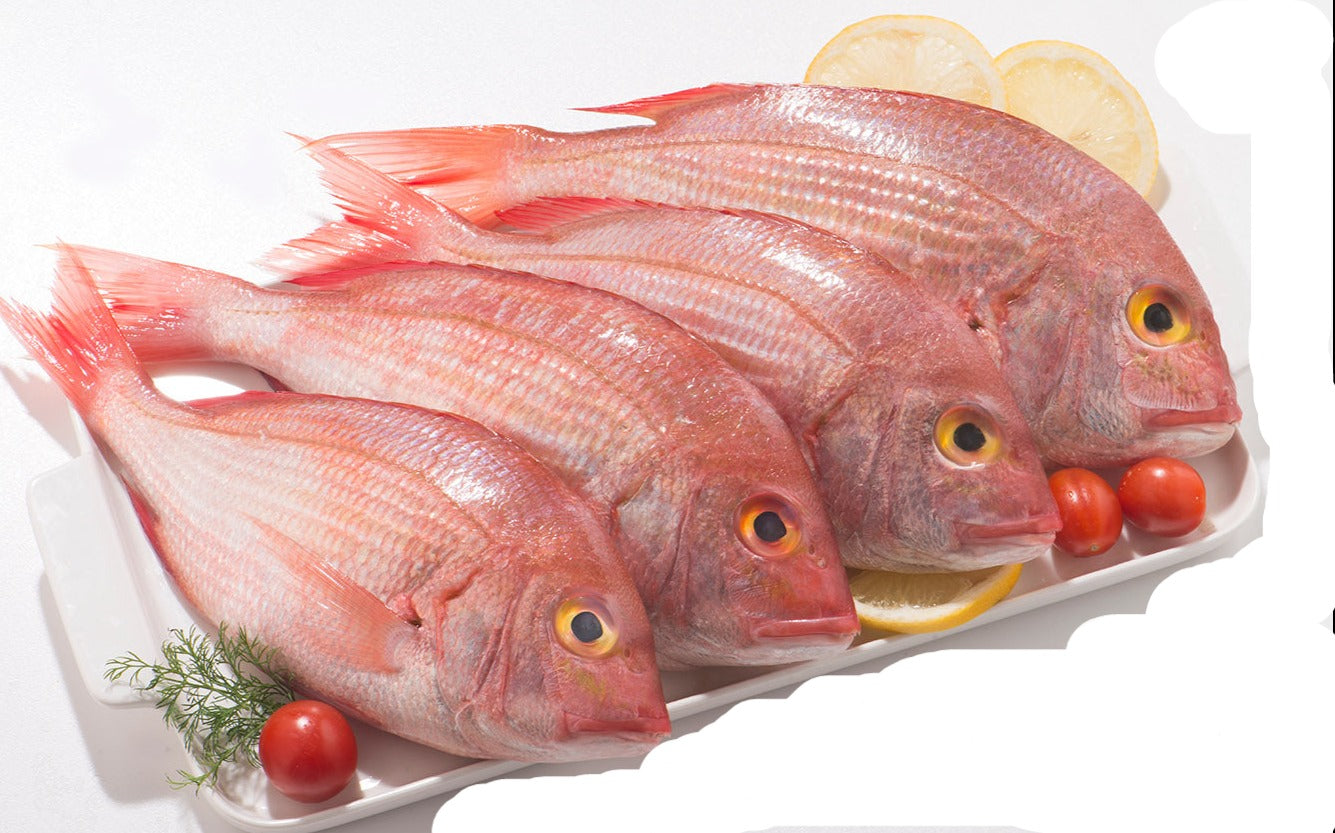 SHANKARA(KILLI MEEN) RED FISH SHANKARA(KILLI MEEN) RED FISH