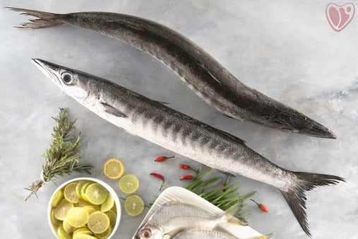 Sheela (Baracuda) Sheela (Baracuda)
