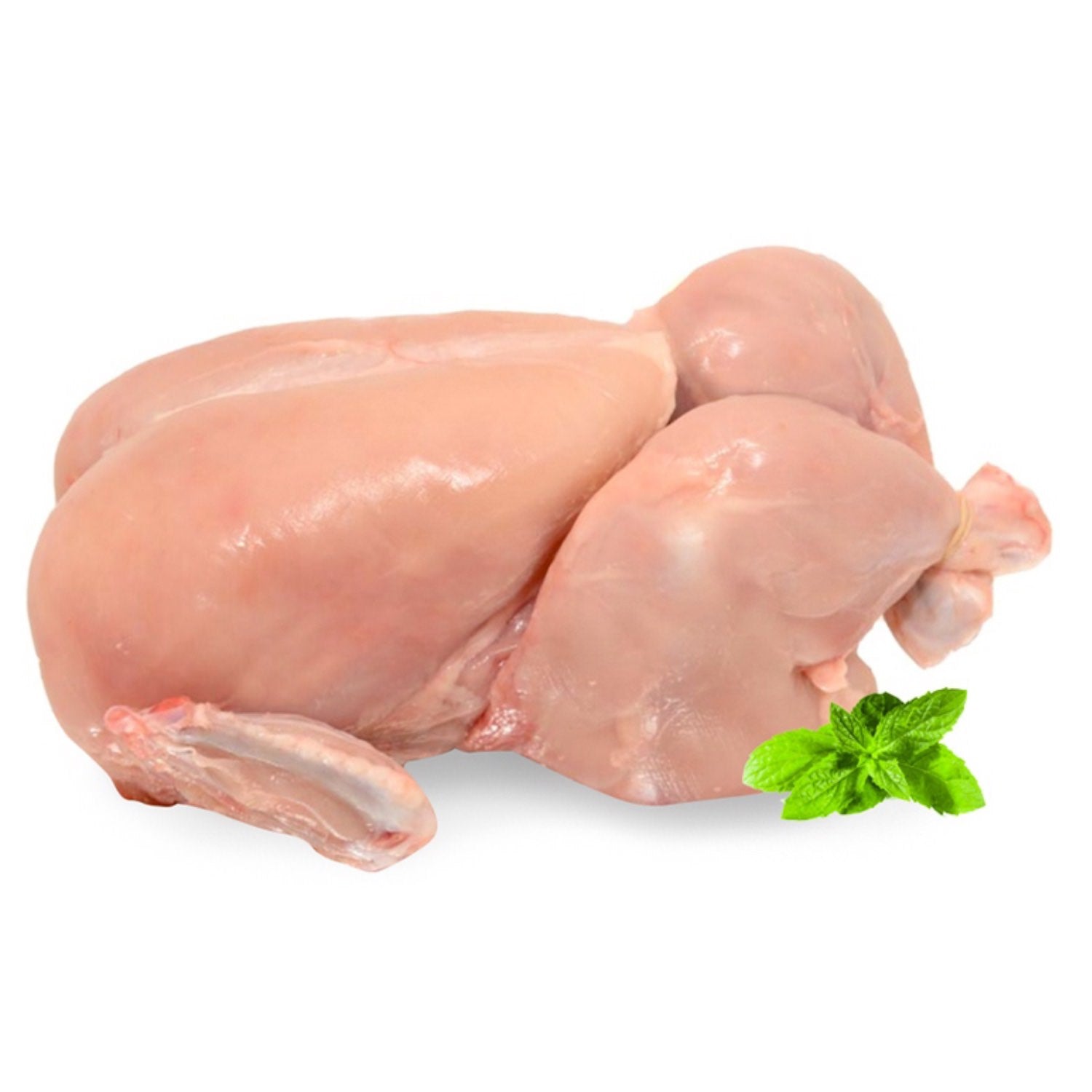 Poultry - Chicken - Duck
