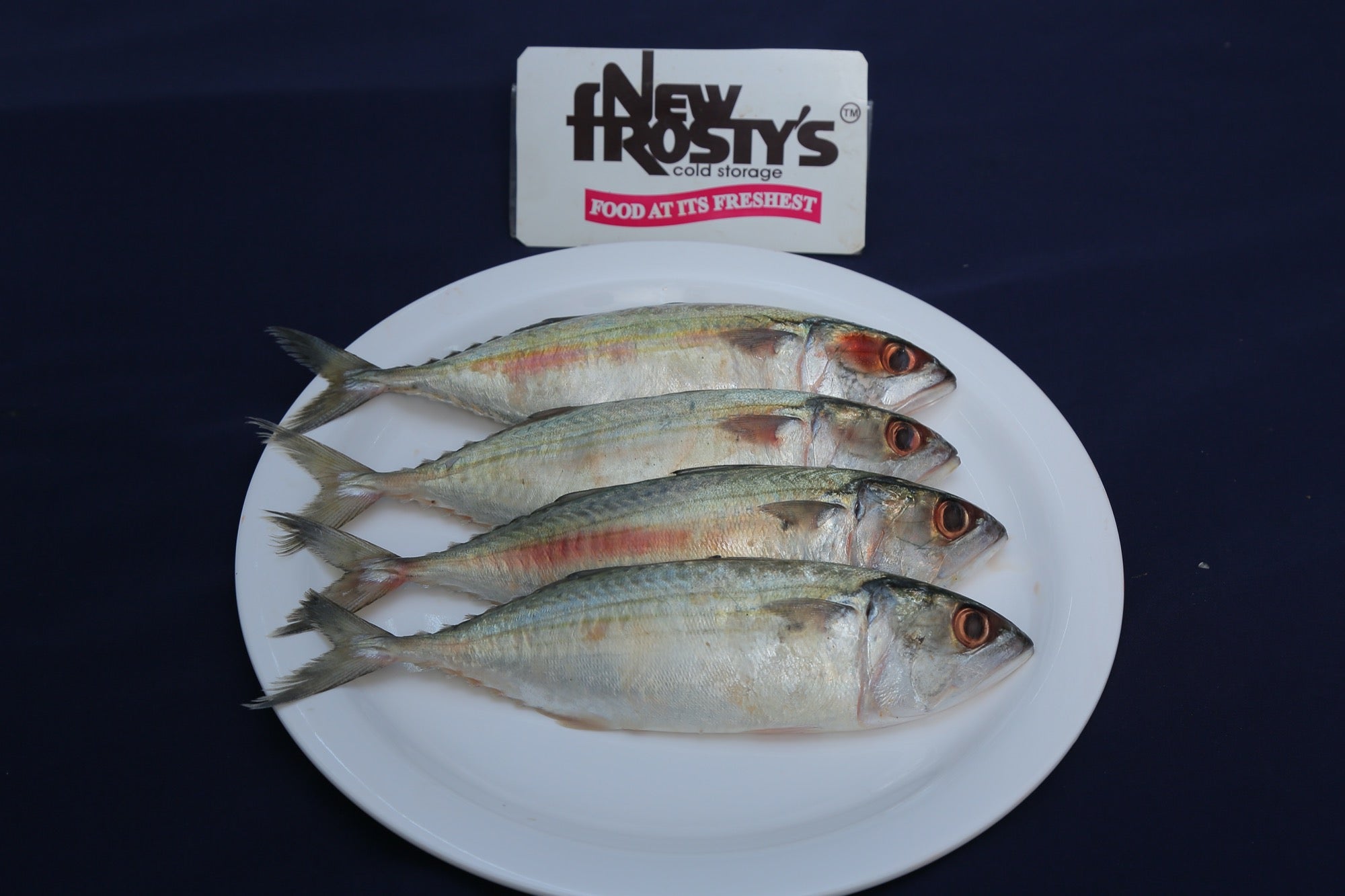 AYLA /Mackerel – New Frosty's