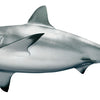Shark (SRAAVU)FULL