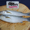 MULLET ( medium )