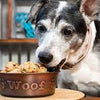 Nfcs Ckn meat balls For Pets 200gm Nfcs Ckn meat balls For Pets 200gm