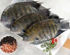 Karimeen BIG(Pearl spot)