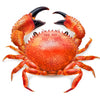 CRAB CRAB